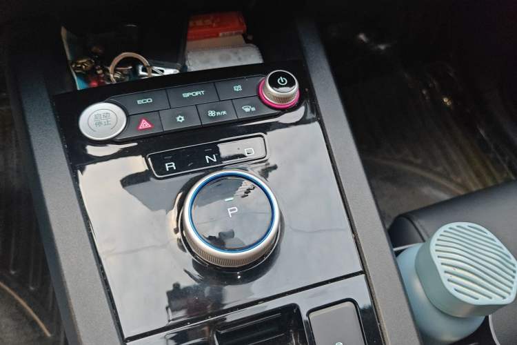 Used BYD e2 2019 Long-Range Version Yao·Luxury Trim Gear Lever