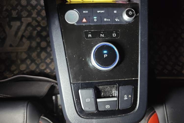 Used BYD e2 2019 Long-Range Version Yao·Luxury Trim Gear Lever