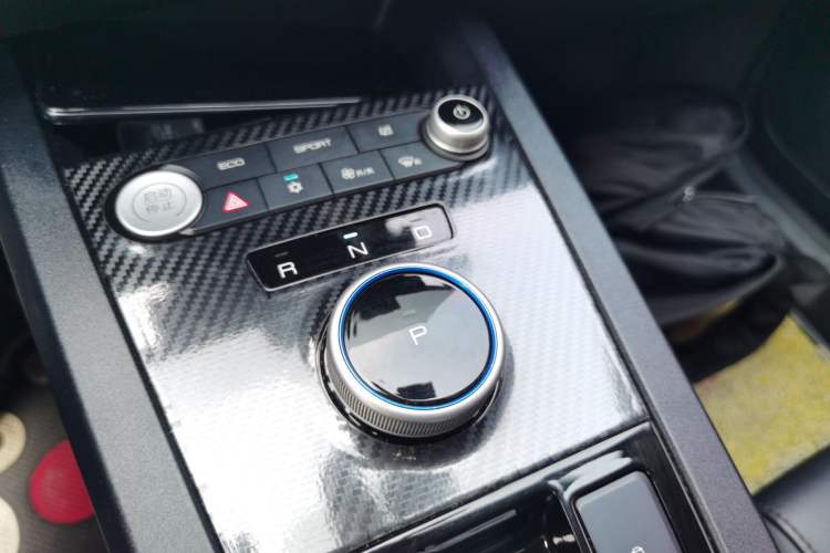 Used BYD e2 2019 Long-Range Version Yao·Luxury Trim Gear Lever