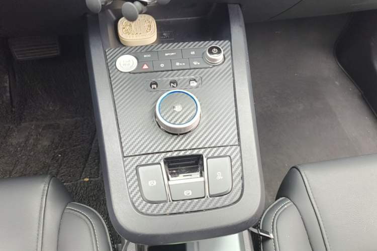 Used BYD e2 2019 Long-Range Version Yao·Luxury Trim Gear Lever