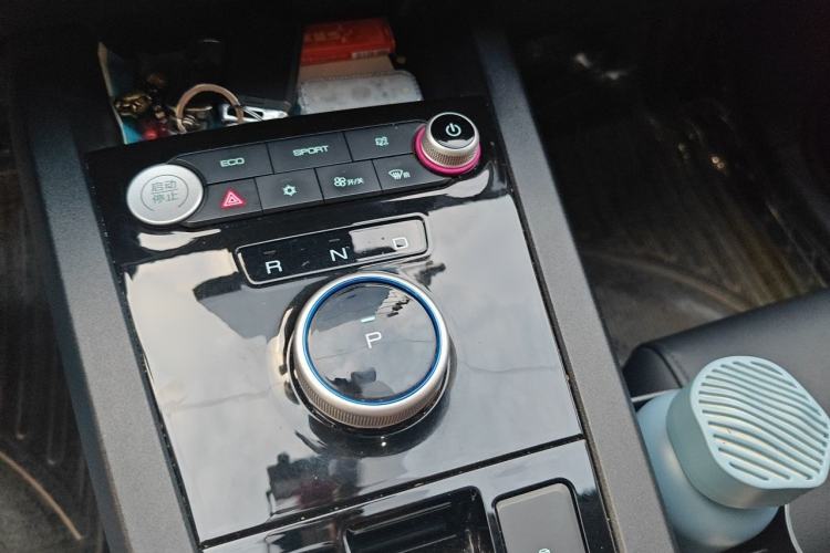 Used BYD e2 2019 Long-Range Version Yao·Luxury Trim Gear Lever