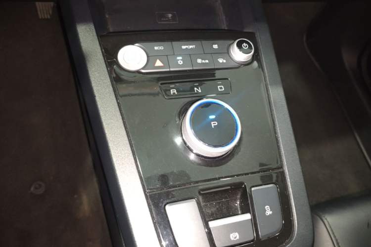 Used BYD e2 2019 Long-Range Version Yao·Luxury Trim Gear Lever