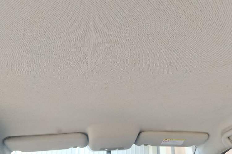 Used BYD e2 2019 Long-Range Version Yao·Luxury Trim Headliner
