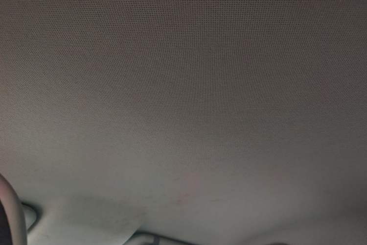 Used BYD e2 2019 Standard Range Version – Yue·Standard Model Headliner