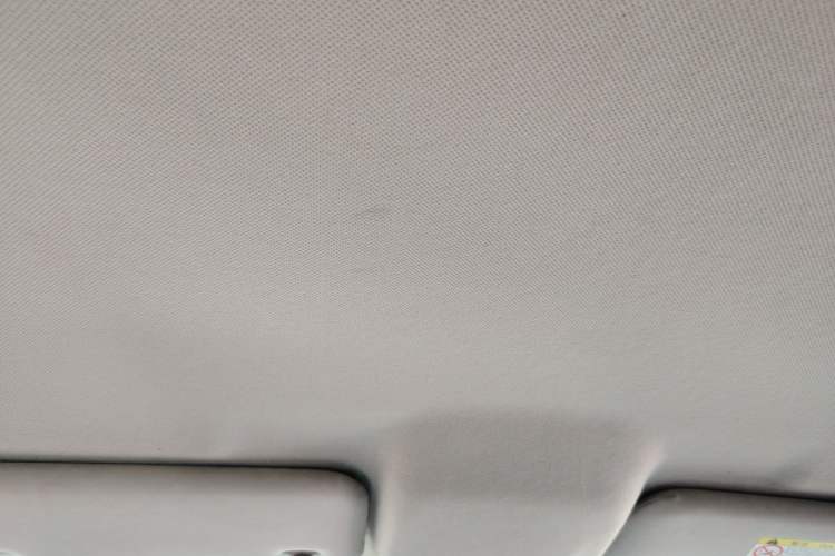 Used BYD e2 2019 Long-Range Version Yao·Luxury Trim Headliner