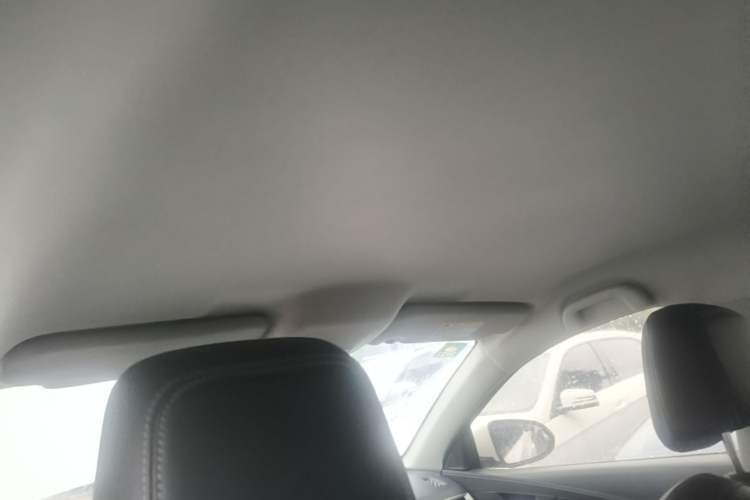 Used BYD e2 2019 Long-Range Version Yao·Luxury Trim Headliner