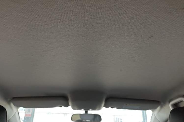 Used BYD e2 2019 Long-Range Version Yao·Luxury Trim Headliner