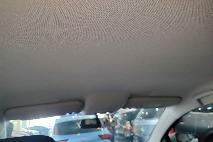 Used BYD e2 2019 Standard Range Version – Yue·Standard Model Headliner