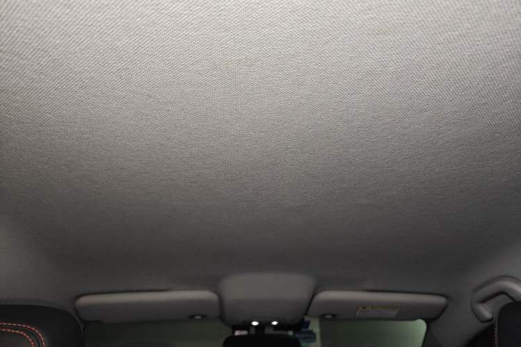Used BYD e2 2019 Long-Range Version Yao·Luxury Trim Headliner