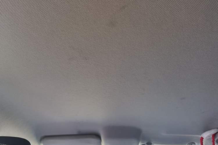 Used BYD e2 2019 Long-Range Version Yao·Luxury Trim Headliner
