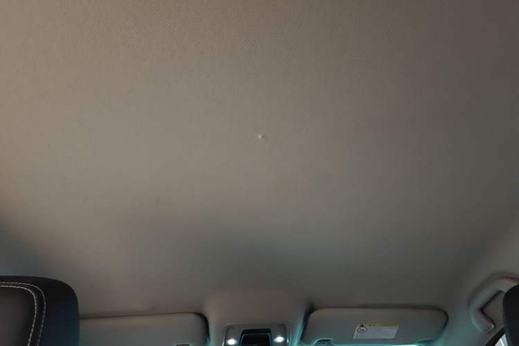 Used BYD e2 2019 Long-Range Version Yao·Luxury Trim Headliner