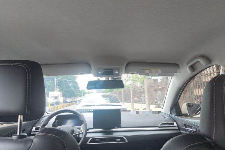 Used BYD e2 2019 Long-Range Version Yao·Luxury Trim Headliner