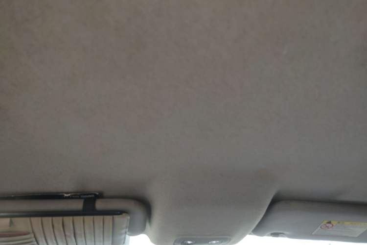 Used BYD e2 2019 Long-Range Version Yao·Luxury Trim Headliner