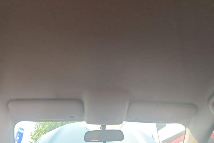 Used BYD e2 2019 Long-Range Version Yao·Luxury Trim Headliner