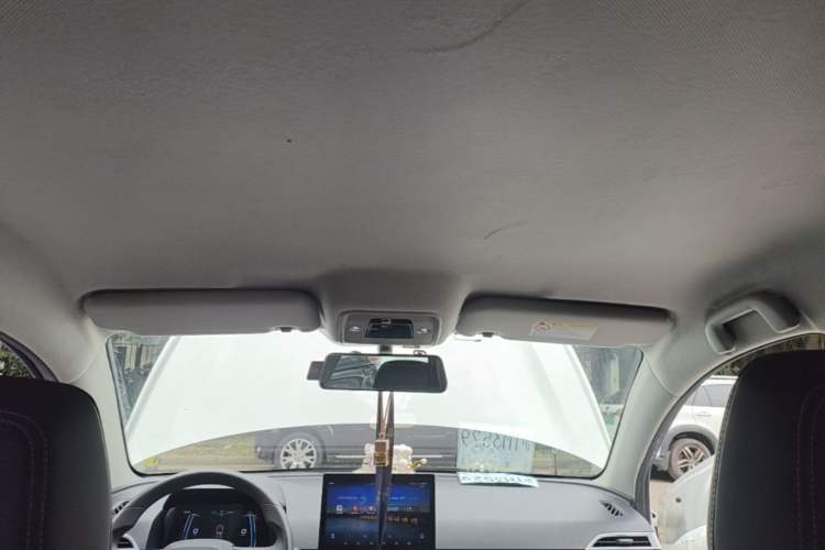Used BYD e2 2019 Long-Range Version Yao·Luxury Trim Headliner