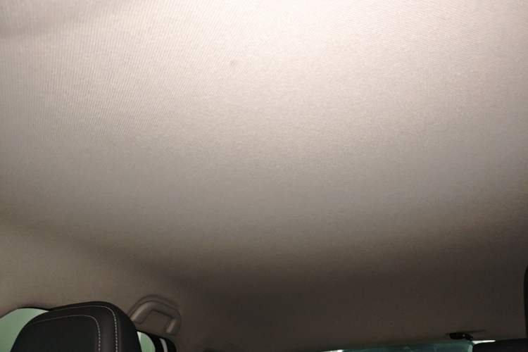 Used BYD e2 2019 Long-Range Version Yao·Luxury Trim Headliner