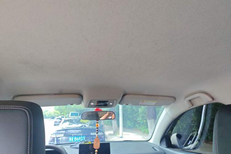 Used BYD e2 2019 Long-Range Version Yao·Luxury Trim Headliner