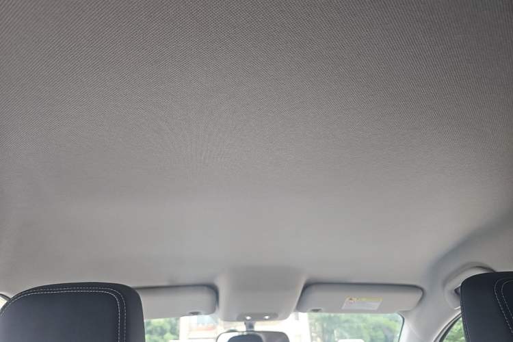 Used BYD e2 2019 Long-Range Version Yao·Luxury Trim Headliner