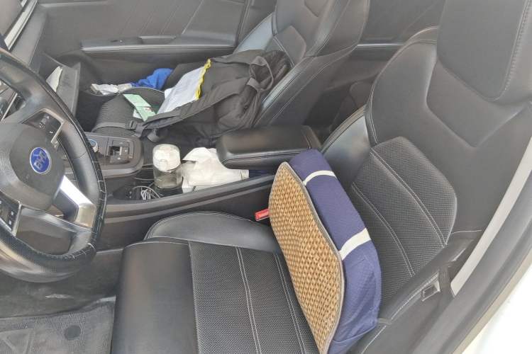 Used BYD e2 2019 Long-Range Version Yao·Luxury Trim Left Front Seat