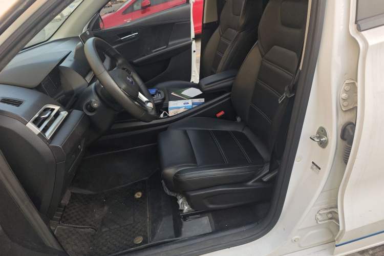 Used BYD e2 2019 Long-Range Version Yao·Luxury Trim Left Front Seat