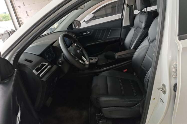 Used BYD e2 2019 Long-Range Version Yao·Luxury Trim Left Front Seat