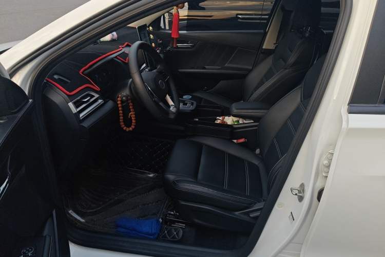 Used BYD e2 2019 Long-Range Version Yao·Luxury Trim Left Front Seat