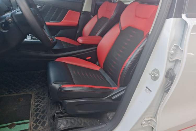 Used BYD e2 2019 Long-Range Version Yao·Luxury Trim Left Front Seat
