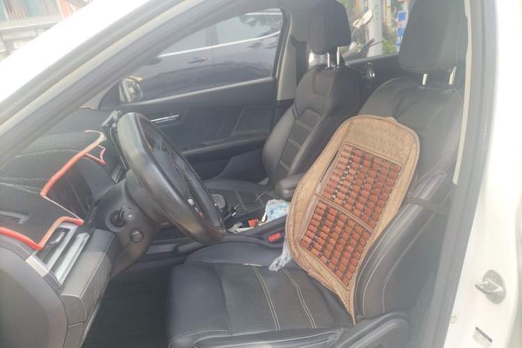 Used BYD e2 2019 400 Travel Edition Left Front Seat