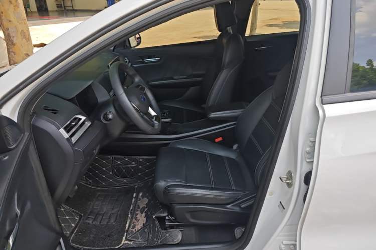 Used BYD e2 2019 Long-Range Version Yao·Luxury Trim Left Front Seat