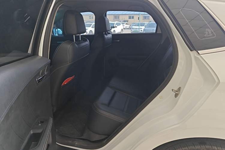 Used BYD e2 2019 Long-Range Version Yao·Luxury Trim Left Rear Seat