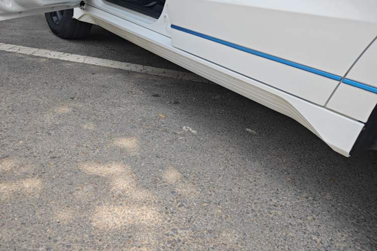 Used BYD e2 2019 Long-Range Version Yao·Luxury Trim Left Side Sill