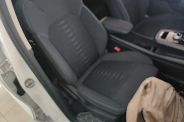 Used BYD e2 2019 Standard Range Version – Yue·Standard Model Right Front Seat