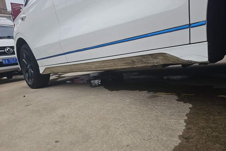 Used BYD e2 2019 Long-Range Version Yao·Luxury Trim Right Side Sill