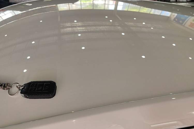 Used BYD e2 2019 Standard Range Version – Yue·Standard Model Roof