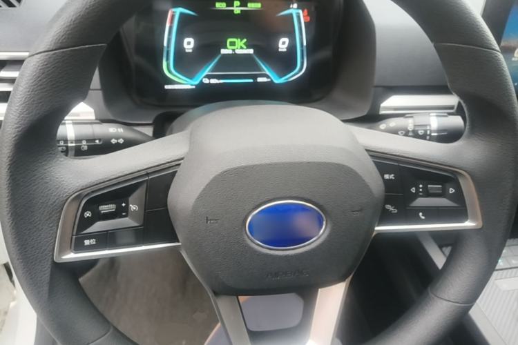 Used BYD e2 2019 Long-Range Version Yao·Luxury Trim Steering Wheel