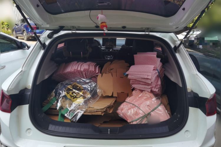 Used BYD e2 2019 Long-Range Version Yao·Luxury Trim Trunk