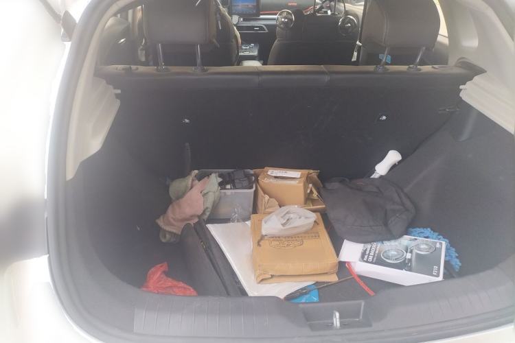 Used BYD e2 2019 400 Travel Edition Trunk