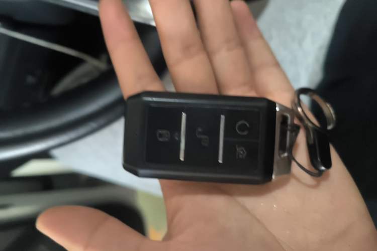 Used BYD e2 2019 Long-Range Version Yao·Luxury Trim Vehicle Key