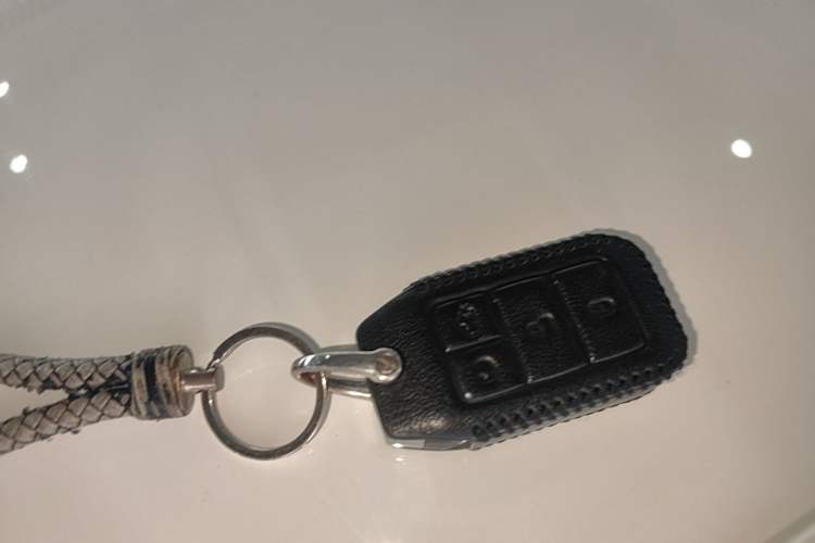 Used BYD e2 2019 Standard Range Version – Yue·Standard Model Vehicle Key