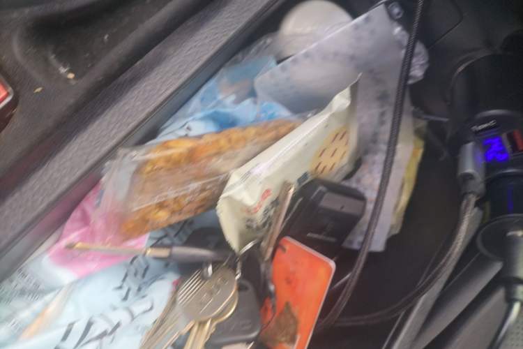 Used BYD e2 2019 400 Travel Edition Vehicle Key