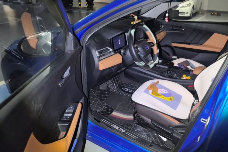 Used BYD e2 2020 Upgraded Model Standard Range Version Comfort Edition Driver Seat