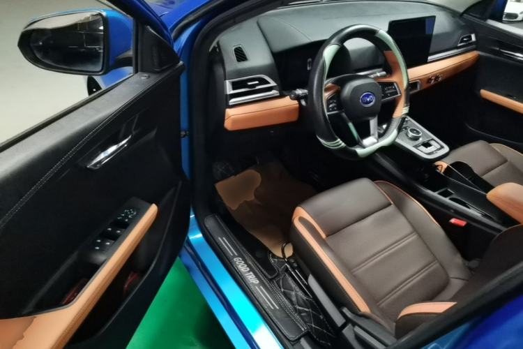 Used BYD e2 2020 Upgraded Model Standard Range Version Comfort Edition Driver Seat