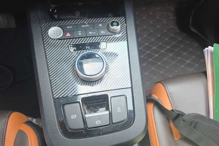 Used BYD e2 2020 Upgraded Version Long-Range Edition Luxury Model Gear Lever