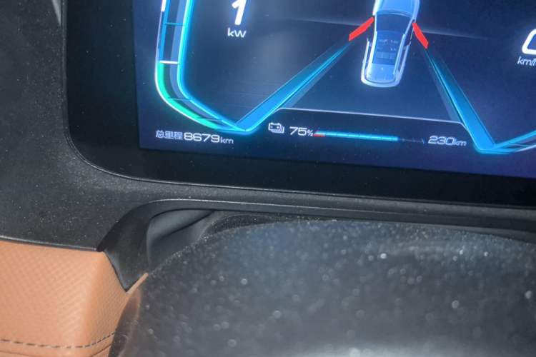 Used BYD e2 2020 Upgraded Model Standard Range Version Comfort Edition Odometer Close Up