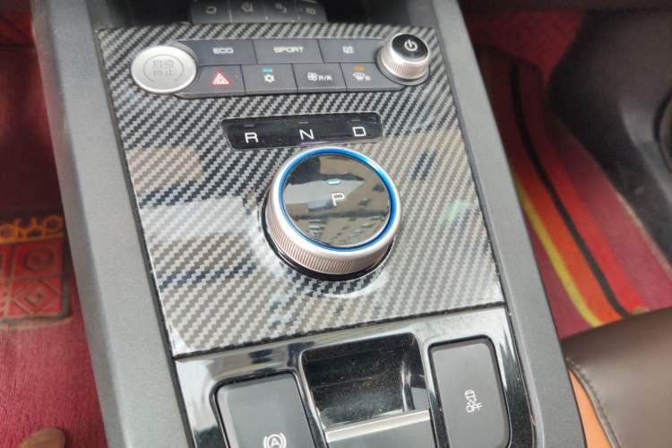 Used BYD e2 2020 Upgraded Version Long-Range Edition Luxury Model Gear Lever