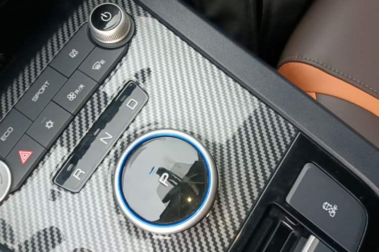 Used BYD e2 2020 Upgraded Version Long-Range Edition Luxury Model Gear Lever