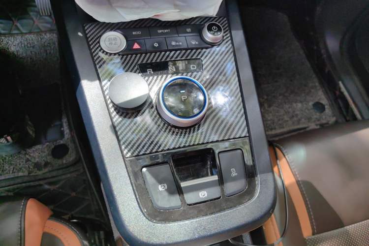 Used BYD e2 2020 Upgraded Version Long-Range Edition Luxury Model Gear Lever