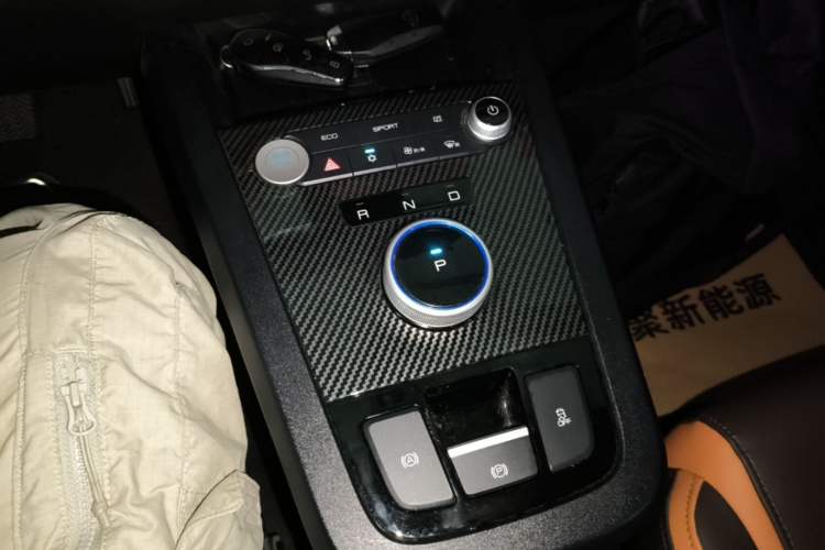 Used BYD e2 2020 Upgraded Version Long-Range Edition Luxury Model Gear Lever