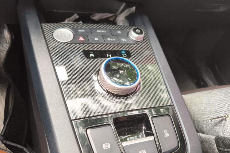 Used BYD e2 2020 Upgraded Version Long-Range Edition Luxury Model Gear Lever