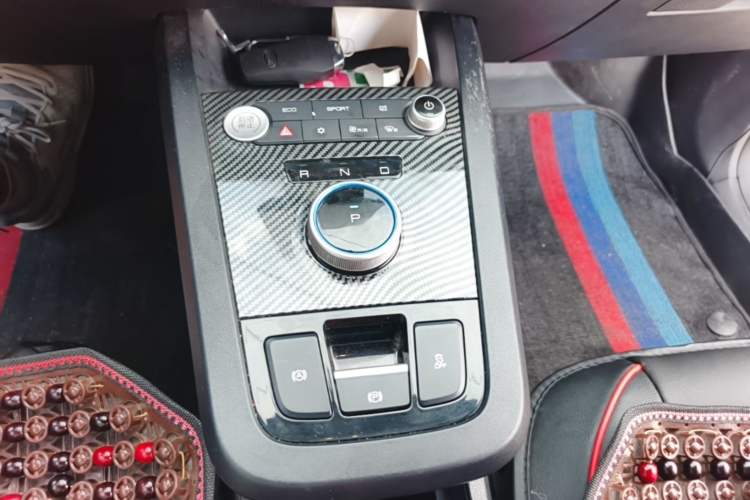 Used BYD e2 2020 Upgraded Version Long-Range Edition Luxury Model Gear Lever